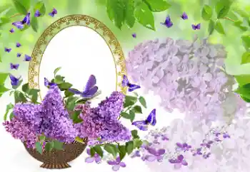 Εφέ φωτογραφιών στην κατηγορία Κορνίζες για φωτογραφίες γυναικών № 177975 Εφέ φωτογραφιών στην κατηγορία Κορνίζες για φωτογραφίες γυναικών № 177975