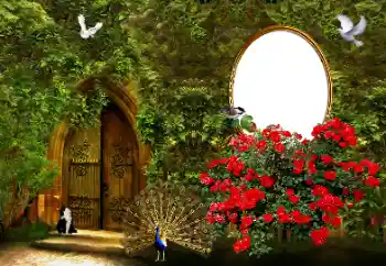 Εφέ φωτογραφιών στην κατηγορία Κορνίζες για φωτογραφίες γυναικών № 178046 Εφέ φωτογραφιών στην κατηγορία Κορνίζες για φωτογραφίες γυναικών № 178046