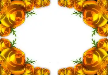 Εφέ φωτογραφιών στην κατηγορία Κορνίζες για φωτογραφίες γυναικών № 1782