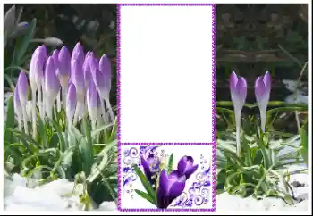 Εφέ φωτογραφιών στην κατηγορία Κορνίζες για φωτογραφίες γυναικών № 179360 Εφέ φωτογραφιών στην κατηγορία Κορνίζες για φωτογραφίες γυναικών № 179360