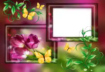 Εφέ φωτογραφιών στην κατηγορία Κορνίζες για φωτογραφίες γυναικών № 179563 Εφέ φωτογραφιών στην κατηγορία Κορνίζες για φωτογραφίες γυναικών № 179563