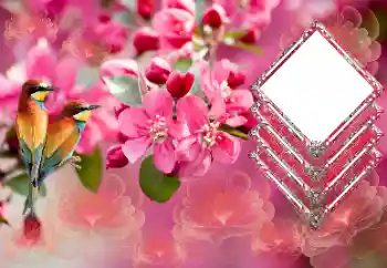 Εφέ φωτογραφιών στην κατηγορία Κορνίζες για φωτογραφίες γυναικών № 179565 Εφέ φωτογραφιών στην κατηγορία Κορνίζες για φωτογραφίες γυναικών № 179565