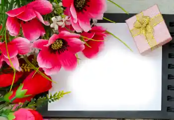 Εφέ φωτογραφιών στην κατηγορία Κορνίζες για φωτογραφίες γυναικών № 180815 Εφέ φωτογραφιών στην κατηγορία Κορνίζες για φωτογραφίες γυναικών № 180815