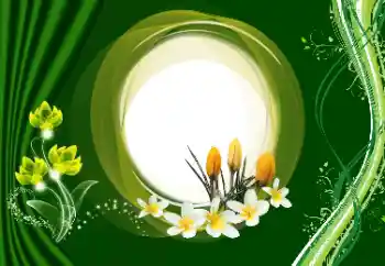 Εφέ φωτογραφιών στην κατηγορία Κορνίζες για φωτογραφίες γυναικών № 180910 Εφέ φωτογραφιών στην κατηγορία Κορνίζες για φωτογραφίες γυναικών № 180910