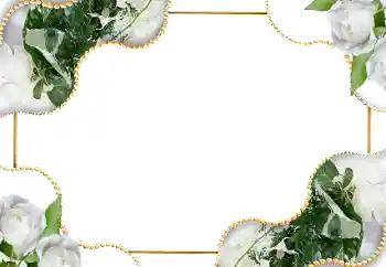 Εφέ φωτογραφιών στην κατηγορία Κορνίζες για φωτογραφίες γυναικών № 18185