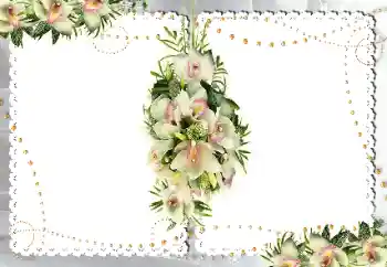 Εφέ φωτογραφιών στην κατηγορία Κορνίζες για φωτογραφίες γυναικών № 18187