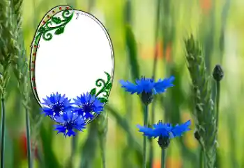 Εφέ φωτογραφιών στην κατηγορία Κορνίζες για φωτογραφίες γυναικών № 181991 Εφέ φωτογραφιών στην κατηγορία Κορνίζες για φωτογραφίες γυναικών № 181991