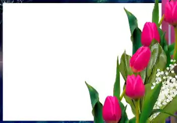 Εφέ φωτογραφιών στην κατηγορία Κορνίζες για φωτογραφίες γυναικών № 182017 Εφέ φωτογραφιών στην κατηγορία Κορνίζες για φωτογραφίες γυναικών № 182017