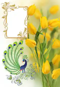 Εφέ φωτογραφιών στην κατηγορία Κορνίζες για φωτογραφίες γυναικών № 182161