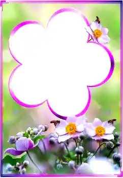 Εφέ φωτογραφιών στην κατηγορία Κορνίζες για φωτογραφίες γυναικών № 183360