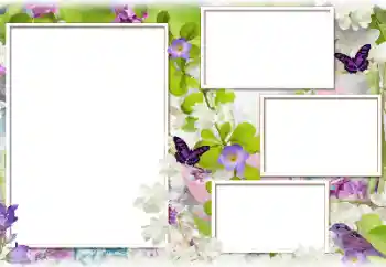 Εφέ φωτογραφιών στην κατηγορία Κορνίζες για φωτογραφίες γυναικών № 183388