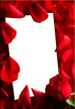 Εφέ φωτογραφιών στην κατηγορία Κορνίζες για φωτογραφίες γυναικών № 1843