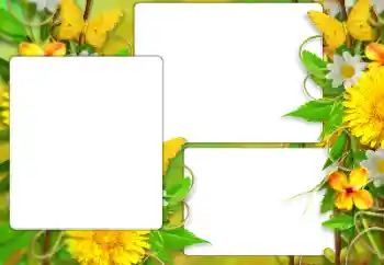 Εφέ φωτογραφιών στην κατηγορία Κορνίζες για φωτογραφίες γυναικών № 184587