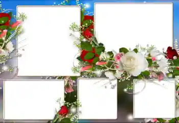 Εφέ φωτογραφιών στην κατηγορία Κορνίζες για φωτογραφίες γυναικών № 184590