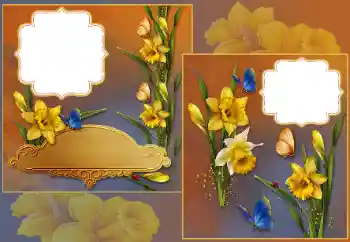 Εφέ φωτογραφιών στην κατηγορία Κορνίζες για φωτογραφίες γυναικών № 185839