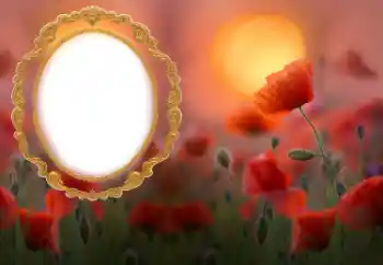 Εφέ φωτογραφιών στην κατηγορία Κορνίζες για φωτογραφίες γυναικών № 185852