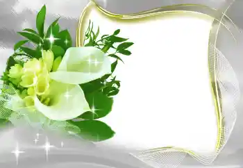 Εφέ φωτογραφιών στην κατηγορία Κορνίζες για φωτογραφίες γυναικών № 185965