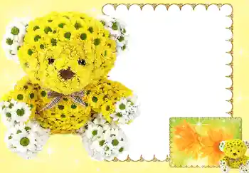 Εφέ φωτογραφιών στην κατηγορία Κορνίζες για φωτογραφίες γυναικών № 185