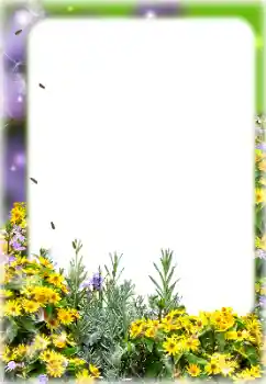 Εφέ φωτογραφιών στην κατηγορία Κορνίζες για φωτογραφίες γυναικών № 187069 Εφέ φωτογραφιών στην κατηγορία Κορνίζες για φωτογραφίες γυναικών № 187069