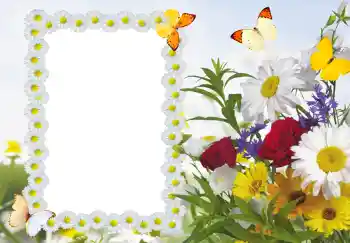 Εφέ φωτογραφιών στην κατηγορία Κορνίζες για φωτογραφίες γυναικών № 187