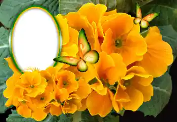 Εφέ φωτογραφιών στην κατηγορία Κορνίζες για φωτογραφίες γυναικών № 189369