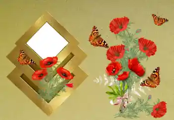 Εφέ φωτογραφιών στην κατηγορία Κορνίζες για φωτογραφίες γυναικών № 189371