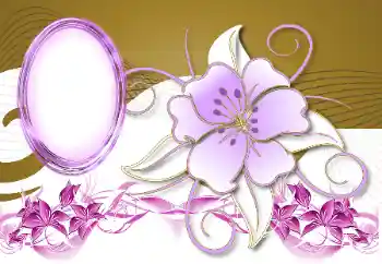 Εφέ φωτογραφιών στην κατηγορία Κορνίζες για φωτογραφίες γυναικών № 189401