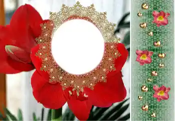 Εφέ φωτογραφιών στην κατηγορία Κορνίζες για φωτογραφίες γυναικών № 190480 Εφέ φωτογραφιών στην κατηγορία Κορνίζες για φωτογραφίες γυναικών № 190480