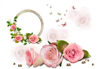 Εφέ φωτογραφιών στην κατηγορία Κορνίζες για φωτογραφίες γυναικών № 190616