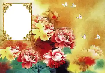 Εφέ φωτογραφιών στην κατηγορία Κορνίζες για φωτογραφίες γυναικών № 190617