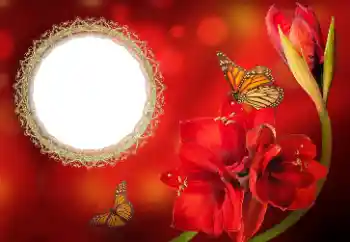 Εφέ φωτογραφιών στην κατηγορία Κορνίζες για φωτογραφίες γυναικών № 191699 Εφέ φωτογραφιών στην κατηγορία Κορνίζες για φωτογραφίες γυναικών № 191699