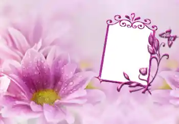 Εφέ φωτογραφιών στην κατηγορία Κορνίζες για φωτογραφίες γυναικών № 191747 Εφέ φωτογραφιών στην κατηγορία Κορνίζες για φωτογραφίες γυναικών № 191747