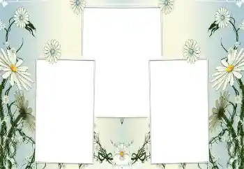 Εφέ φωτογραφιών στην κατηγορία Κορνίζες για φωτογραφίες γυναικών № 196602 Εφέ φωτογραφιών στην κατηγορία Κορνίζες για φωτογραφίες γυναικών № 196602