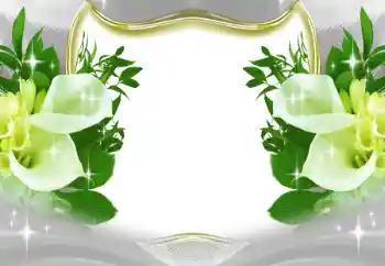 Εφέ φωτογραφιών στην κατηγορία Κορνίζες για φωτογραφίες γυναικών № 197643 Εφέ φωτογραφιών στην κατηγορία Κορνίζες για φωτογραφίες γυναικών № 197643