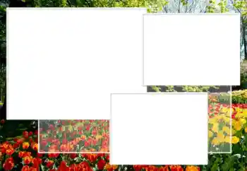 Εφέ φωτογραφιών στην κατηγορία Κορνίζες για φωτογραφίες γυναικών № 198891 Εφέ φωτογραφιών στην κατηγορία Κορνίζες για φωτογραφίες γυναικών № 198891