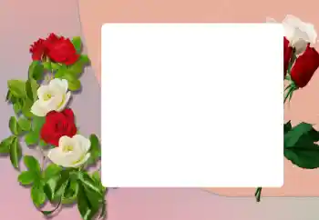 Εφέ φωτογραφιών στην κατηγορία Κορνίζες για φωτογραφίες γυναικών № 198906