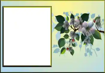 Εφέ φωτογραφιών στην κατηγορία Κορνίζες για φωτογραφίες γυναικών № 198924