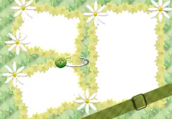 Εφέ φωτογραφιών στην κατηγορία Κορνίζες για φωτογραφίες γυναικών № 198941