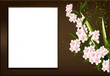 Εφέ φωτογραφιών στην κατηγορία Κορνίζες για φωτογραφίες γυναικών № 198973