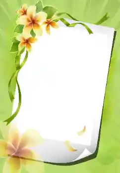 Εφέ φωτογραφιών στην κατηγορία Κορνίζες για φωτογραφίες γυναικών № 199012