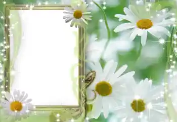 Εφέ φωτογραφιών στην κατηγορία Κορνίζες για φωτογραφίες γυναικών № 202