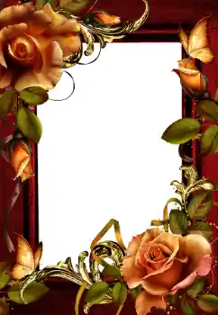 Εφέ φωτογραφιών στην κατηγορία Κορνίζες για φωτογραφίες γυναικών № 203259