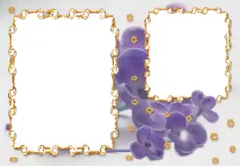 Εφέ φωτογραφιών στην κατηγορία Κορνίζες για φωτογραφίες γυναικών № 203262