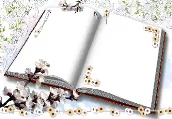 Εφέ φωτογραφιών στην κατηγορία Κορνίζες για φωτογραφίες γυναικών № 203311