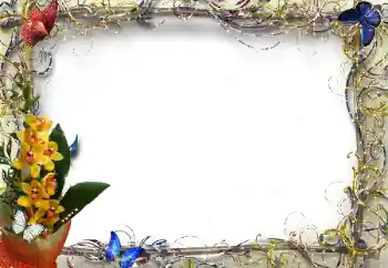 Εφέ φωτογραφιών στην κατηγορία Κορνίζες για φωτογραφίες γυναικών № 205374