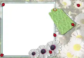 Εφέ φωτογραφιών στην κατηγορία Κορνίζες για φωτογραφίες γυναικών № 205379 Εφέ φωτογραφιών στην κατηγορία Κορνίζες για φωτογραφίες γυναικών № 205379