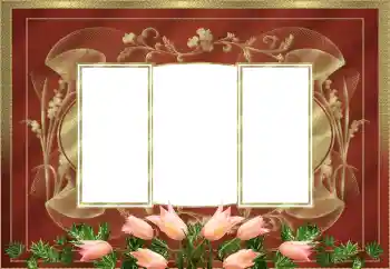 Εφέ φωτογραφιών στην κατηγορία Κορνίζες για φωτογραφίες γυναικών № 205525