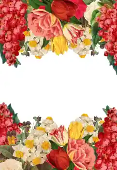 Εφέ φωτογραφιών στην κατηγορία Κορνίζες για φωτογραφίες γυναικών № 205744