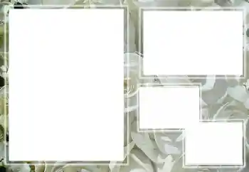 Εφέ φωτογραφιών στην κατηγορία Κορνίζες για φωτογραφίες γυναικών № 205789