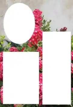 Εφέ φωτογραφιών στην κατηγορία Κορνίζες για φωτογραφίες γυναικών № 205800